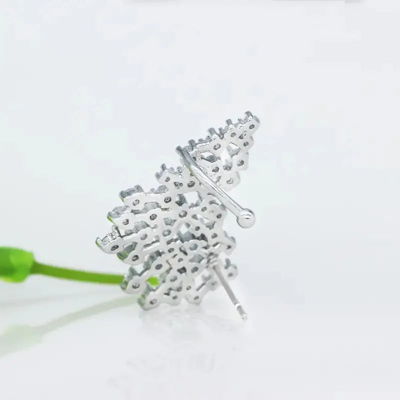 European and American Design Earrings