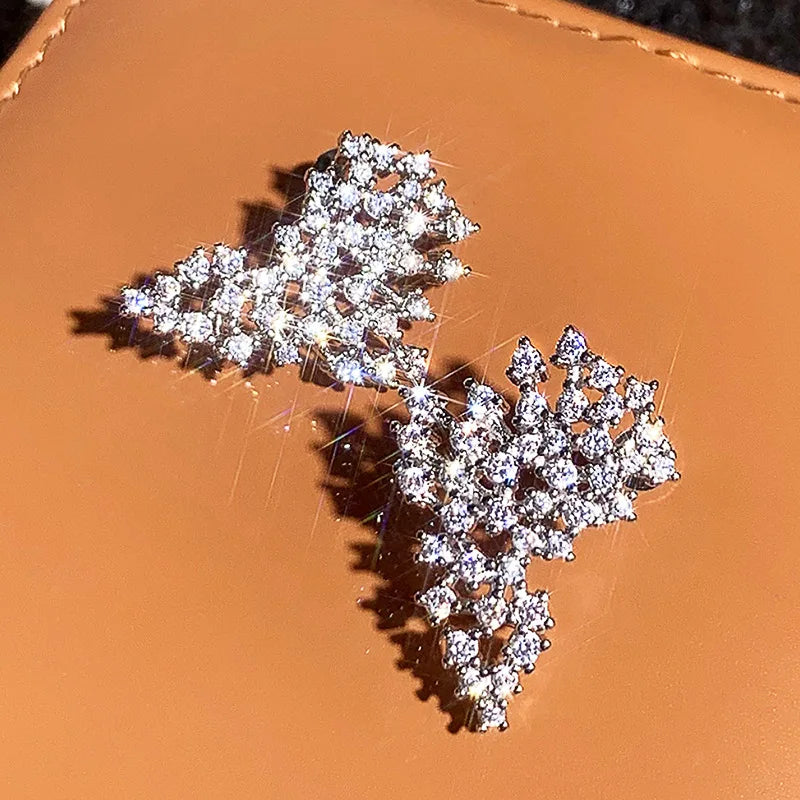 European and American Design Earrings