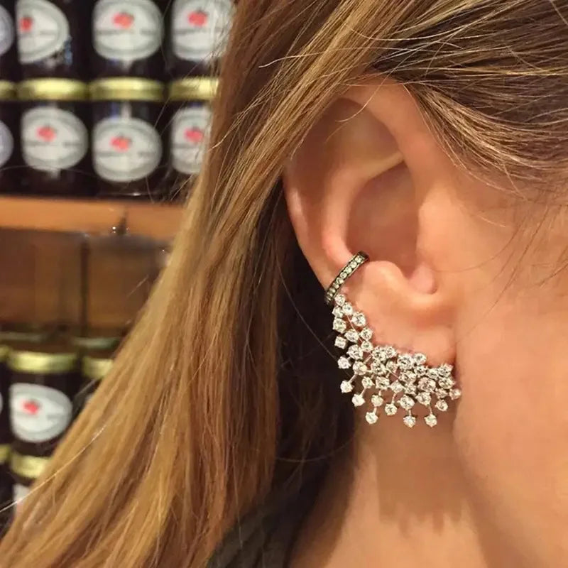 European and American Design Earrings