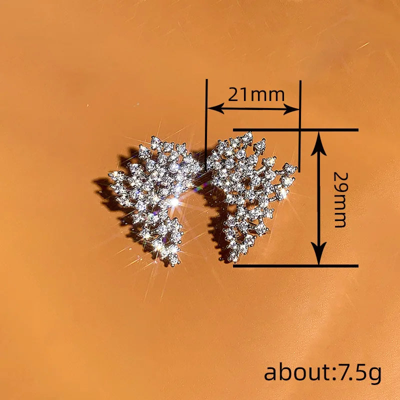 European and American Design Earrings