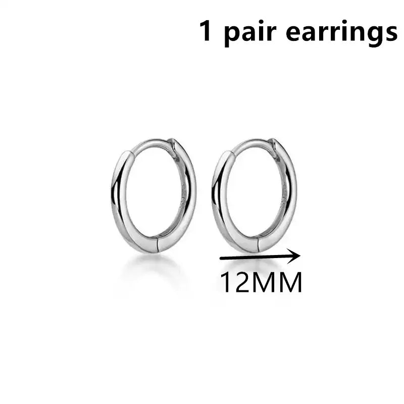 Sterling Silver Small Earrings
